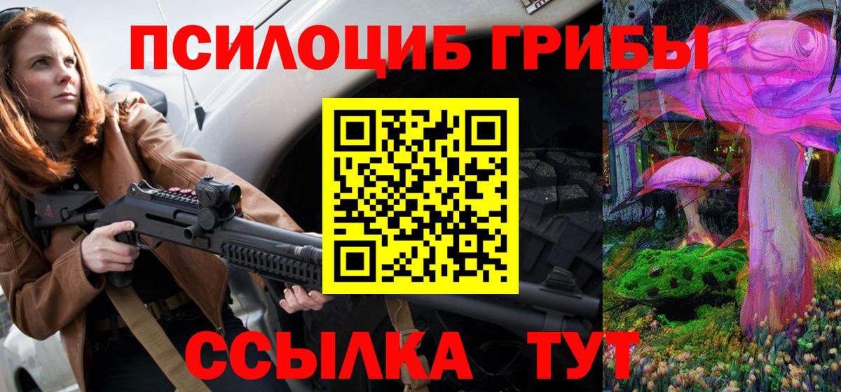 Кириши  Псилоцибиновые грибы мицелий  купить закладку  Псилоцибиновые грибы GOLDEN TEACHER  Вход с VPN 